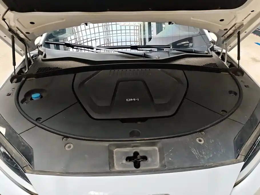 BYD PLUS New Energy — миниатюра 10