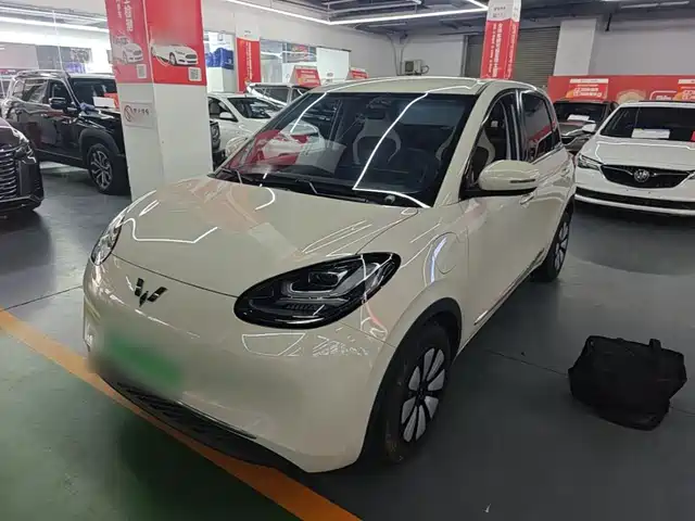 2024 Wuling Motors Binguo