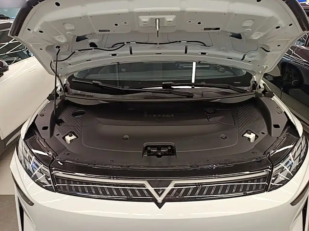 Venucia VX6 — миниатюра 20