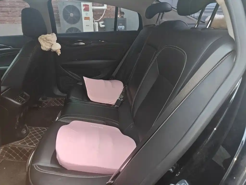 Buick Regal — миниатюра 18