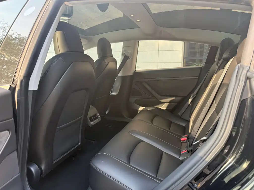 Tesla Model 3 — миниатюра 9