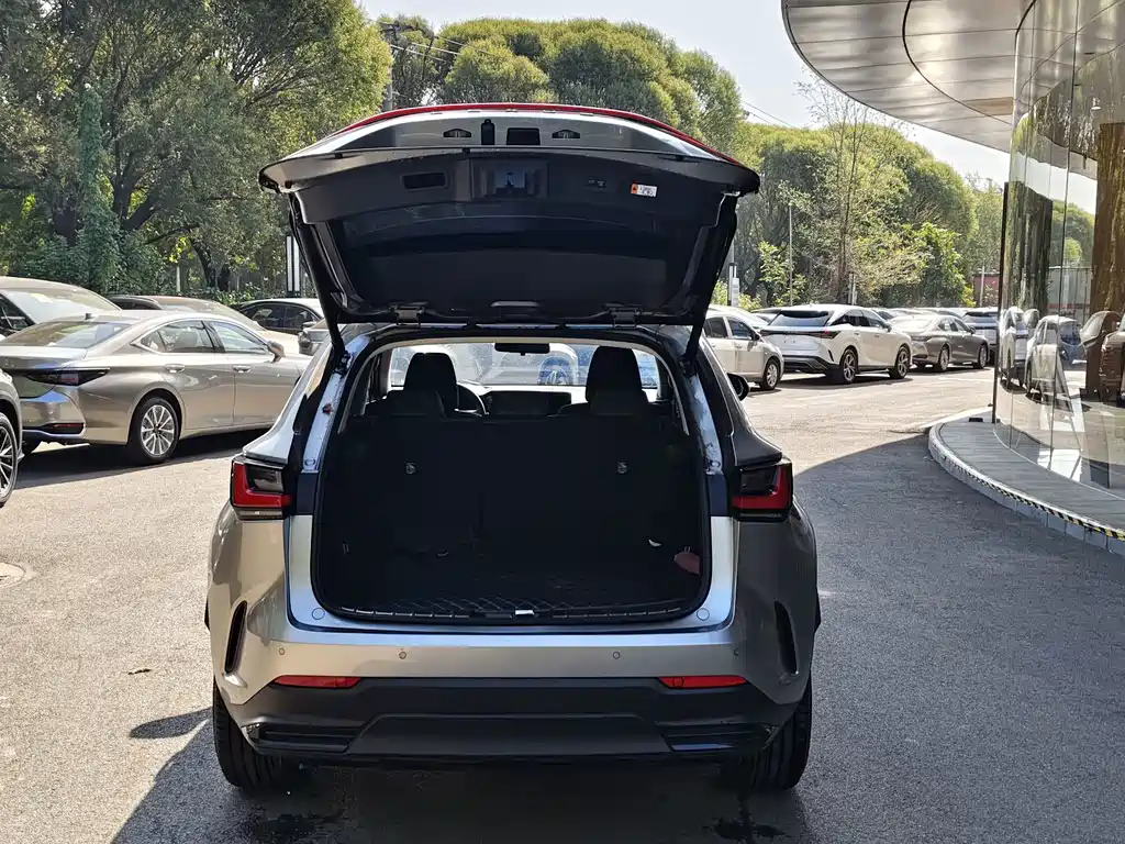 Lexus NX New Energy — миниатюра 14
