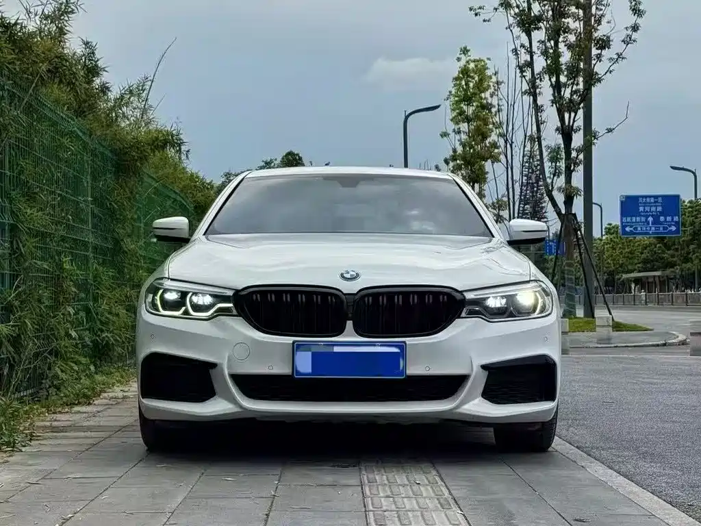 BMW 5 Series 5 2020 530Li Premium M Sport
