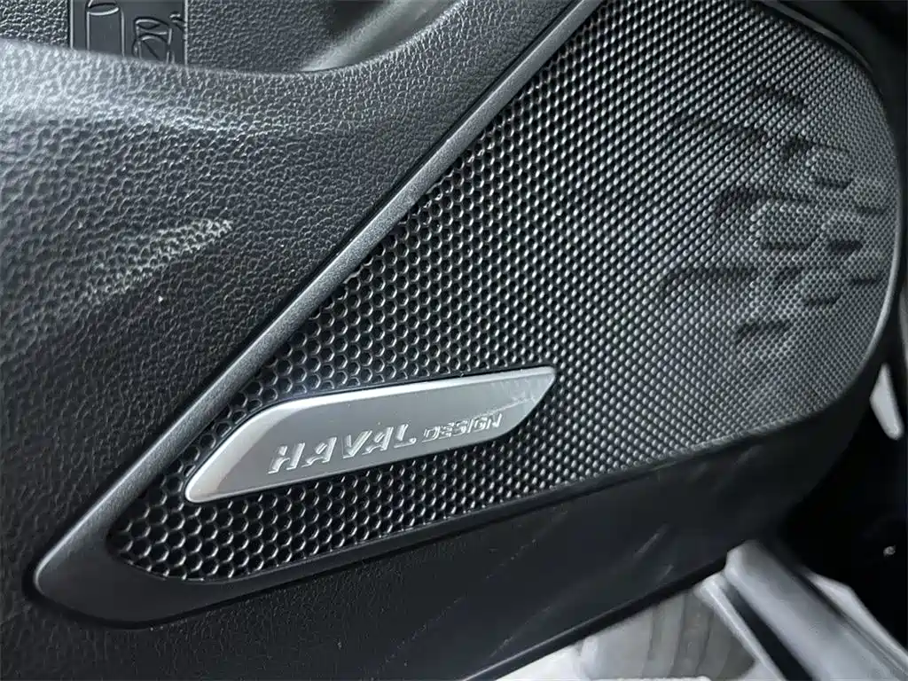 Haval Big Dog — миниатюра 15