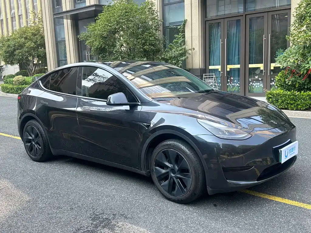 Tesla Model Y — миниатюра 2