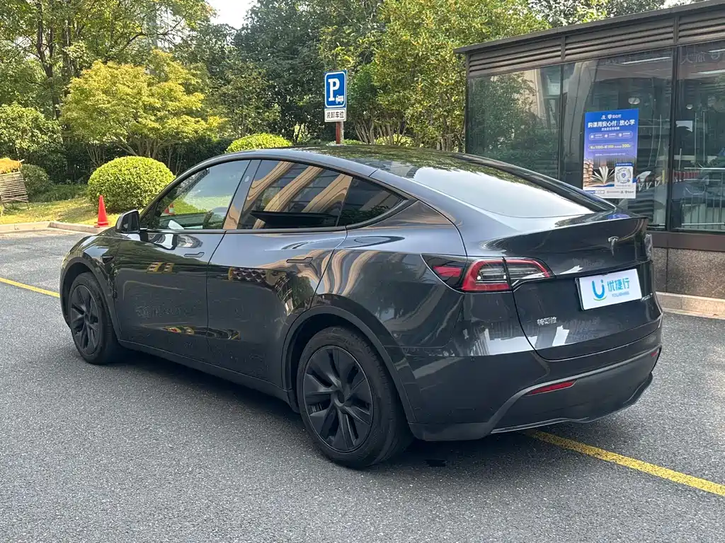 Tesla Model Y — миниатюра 5