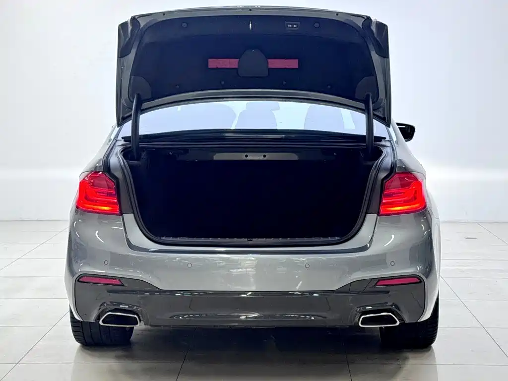 BMW 5 Series (Import) — миниатюра 5