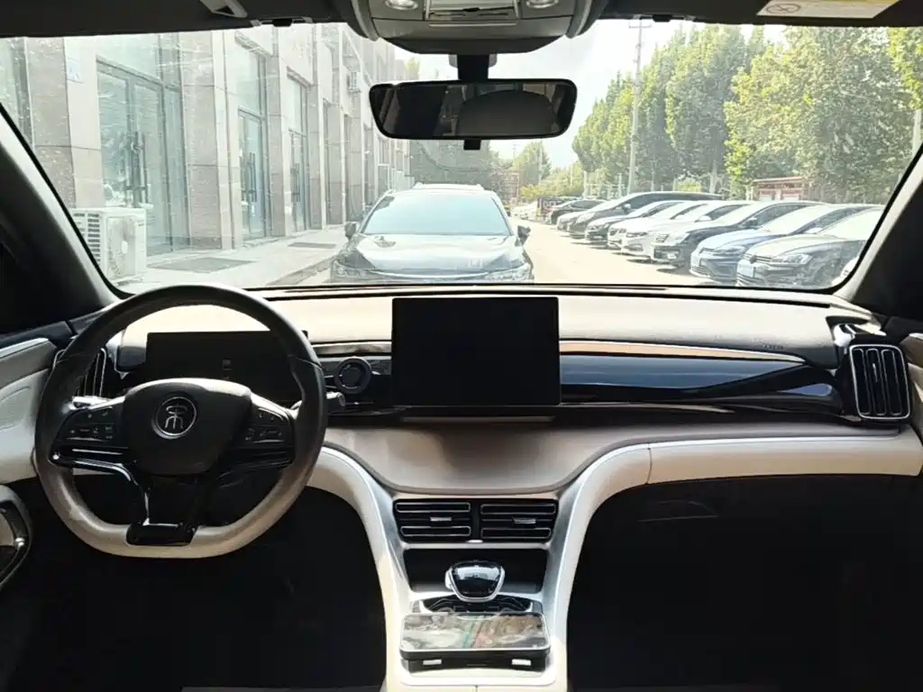 BYD Pro New Energy — миниатюра 10