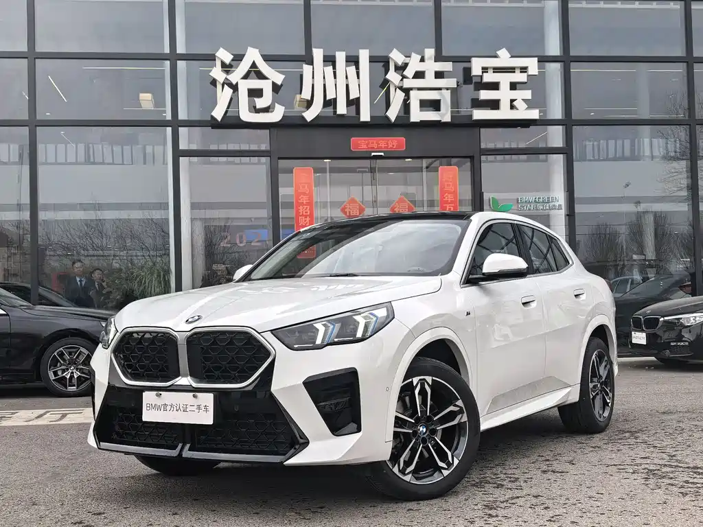 BMW X2 (Import) 2025