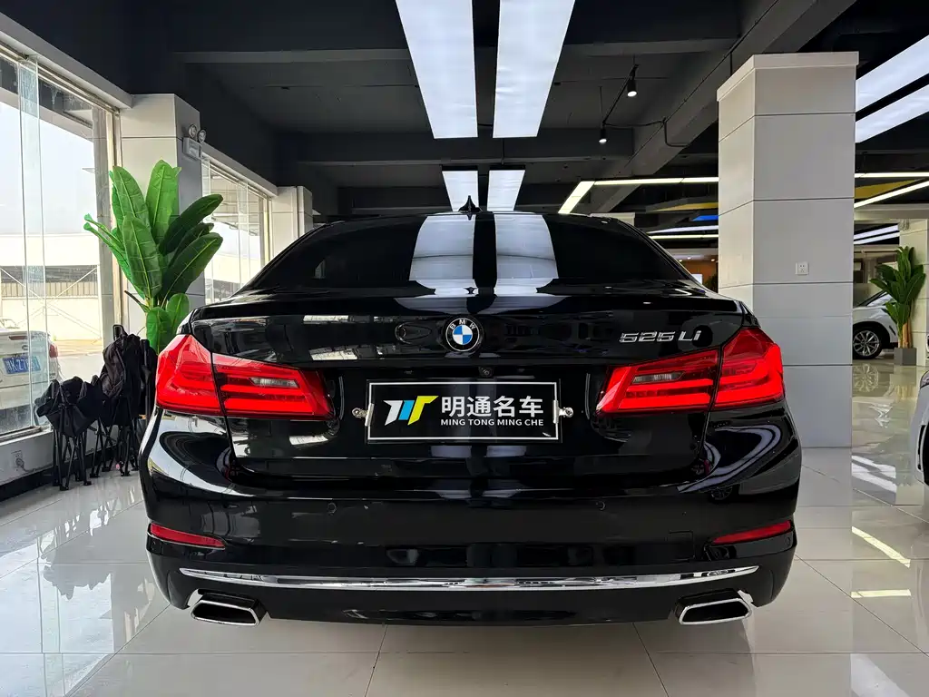 BMW 5 Series 5 2019 525Li Luxury
