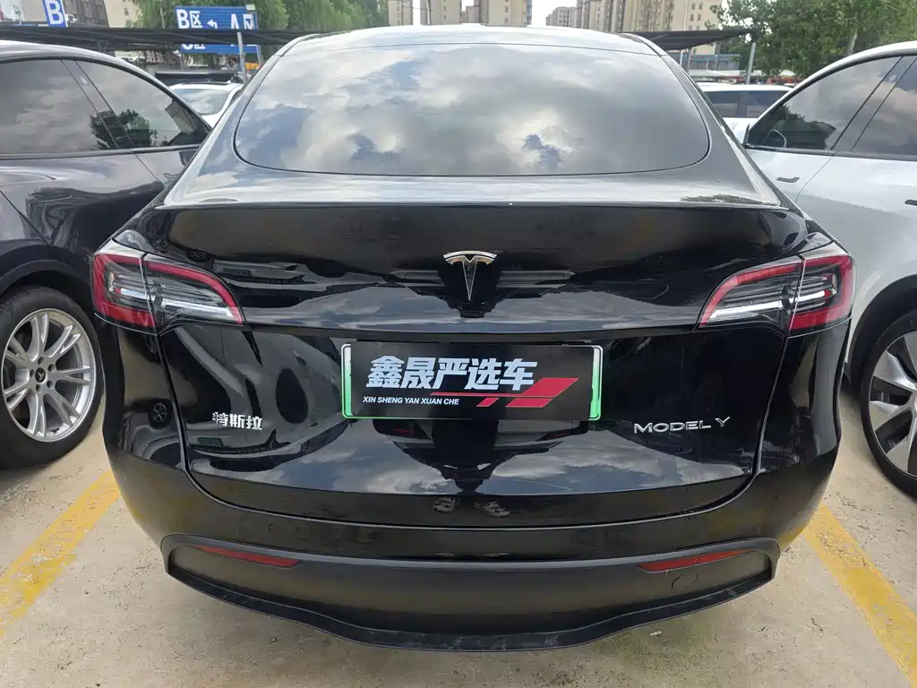 Tesla Model Y — миниатюра 14