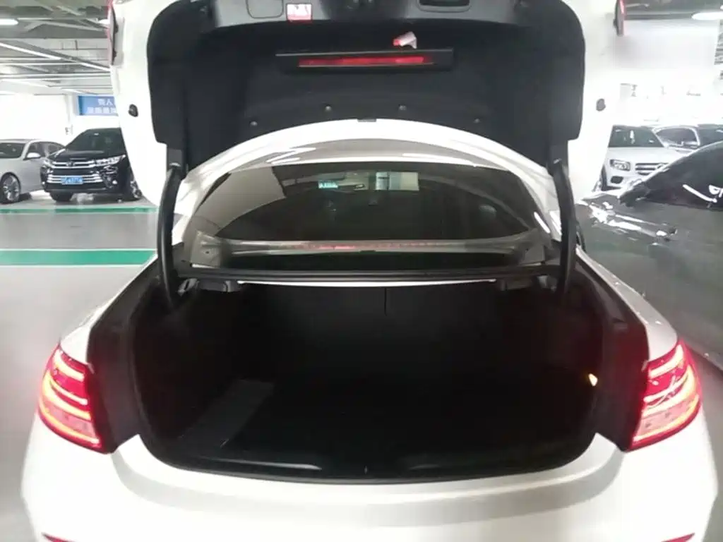 Mercedes-Benz C-Class (Import) — миниатюра 19