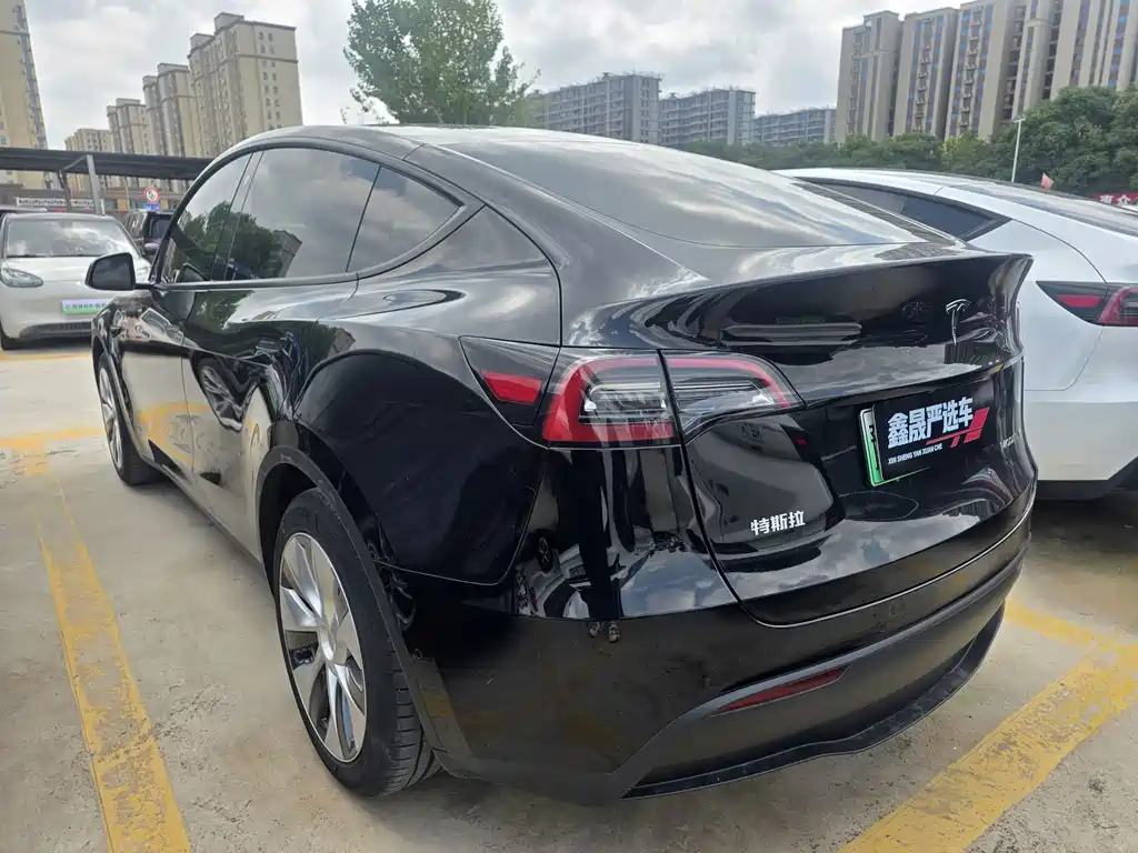 Tesla Model Y — миниатюра 13