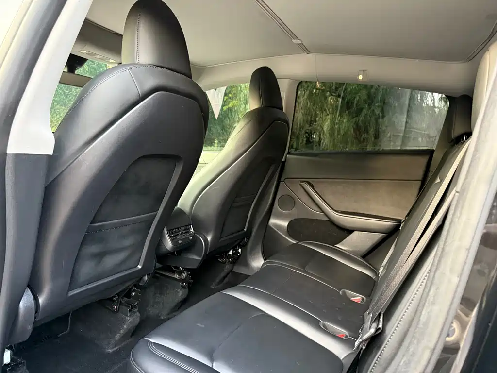 Tesla Model Y — миниатюра 13