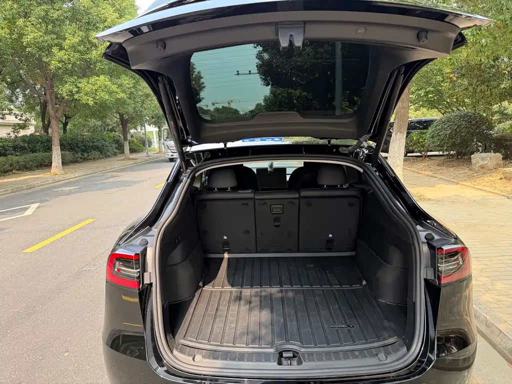 Tesla Model Y — миниатюра 14