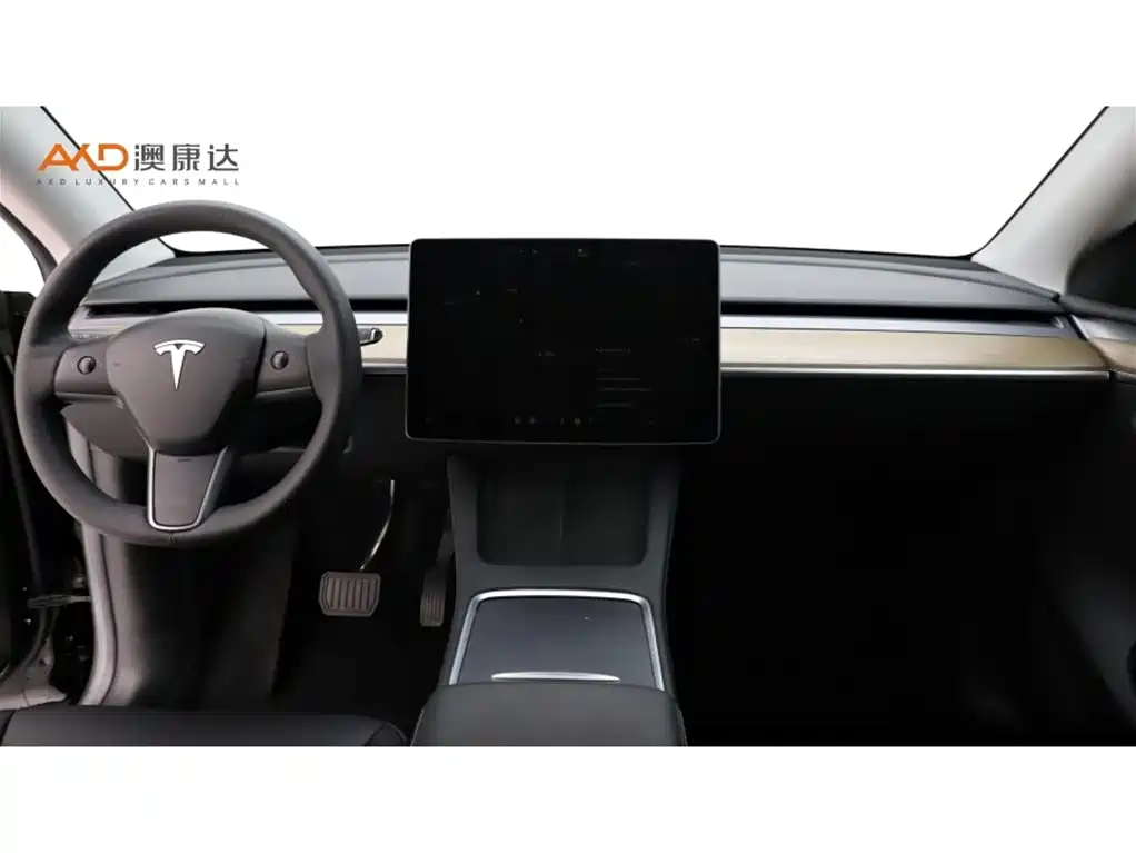 Tesla Model Y — миниатюра 5