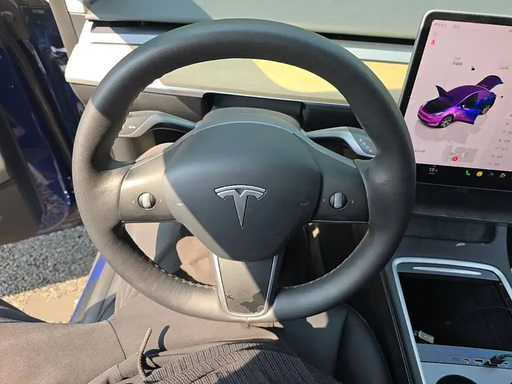 Tesla Model Y — миниатюра 11