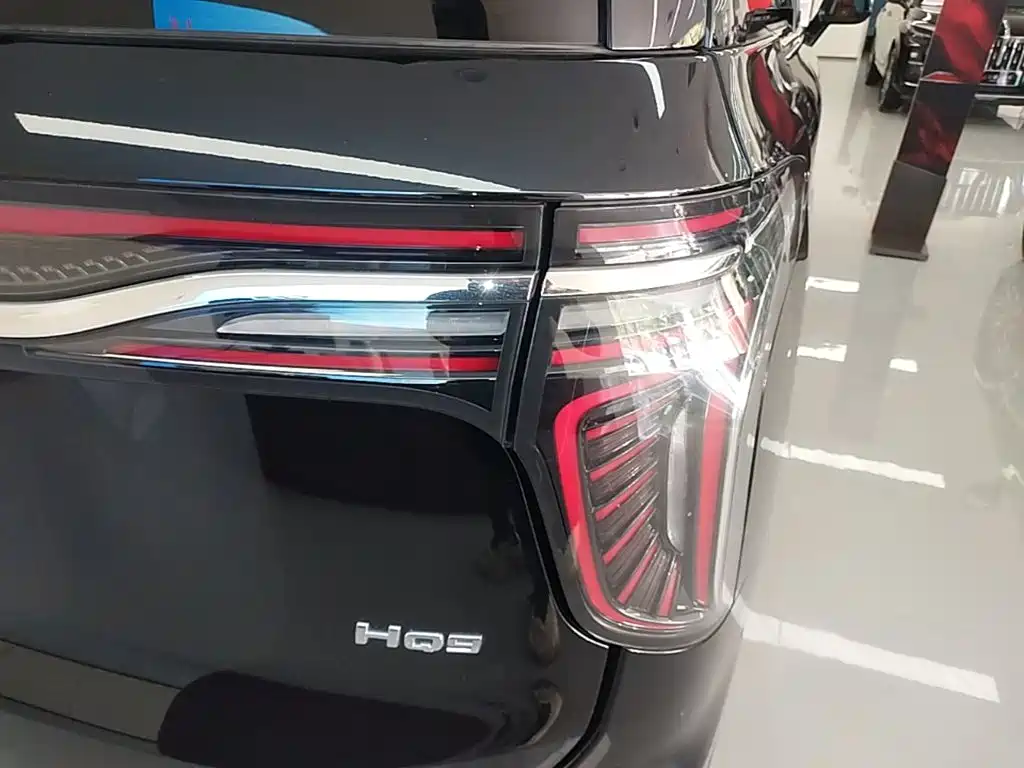 Hongqi Hongqi HQ9 — миниатюра 8