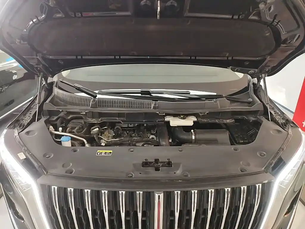 Hongqi Hongqi HQ9 — миниатюра 20