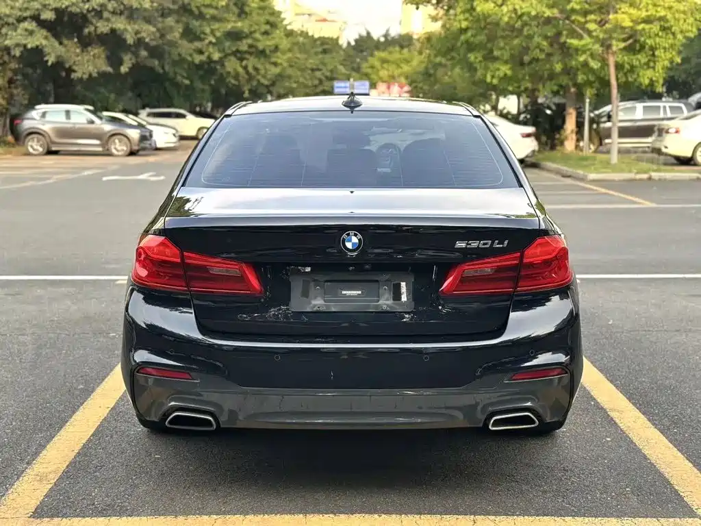 BMW 5 Series — миниатюра 4