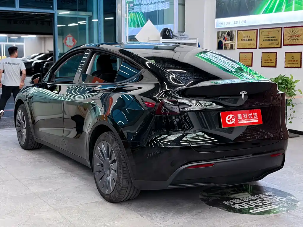 Tesla Model Y — миниатюра 5