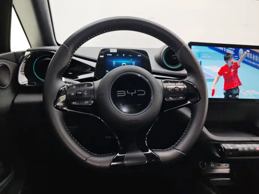 BYD Dolphin — миниатюра 15