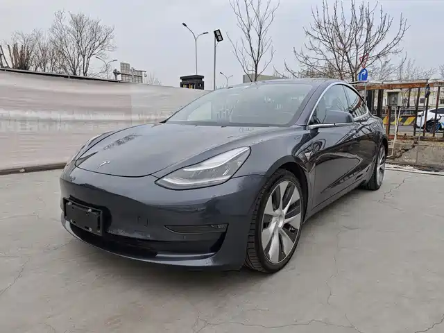 TESLA MODEL 3 2019