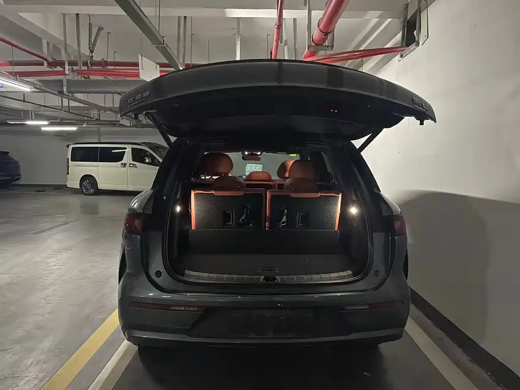 BYD Tang L L 2025 DM 175KM