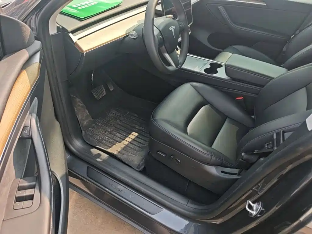 Tesla Model Y — миниатюра 16
