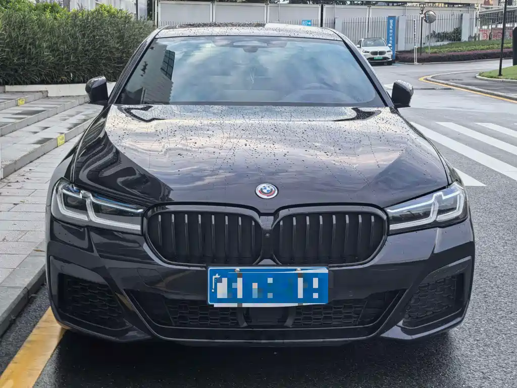 BMW 5 Series (Import) — миниатюра 2