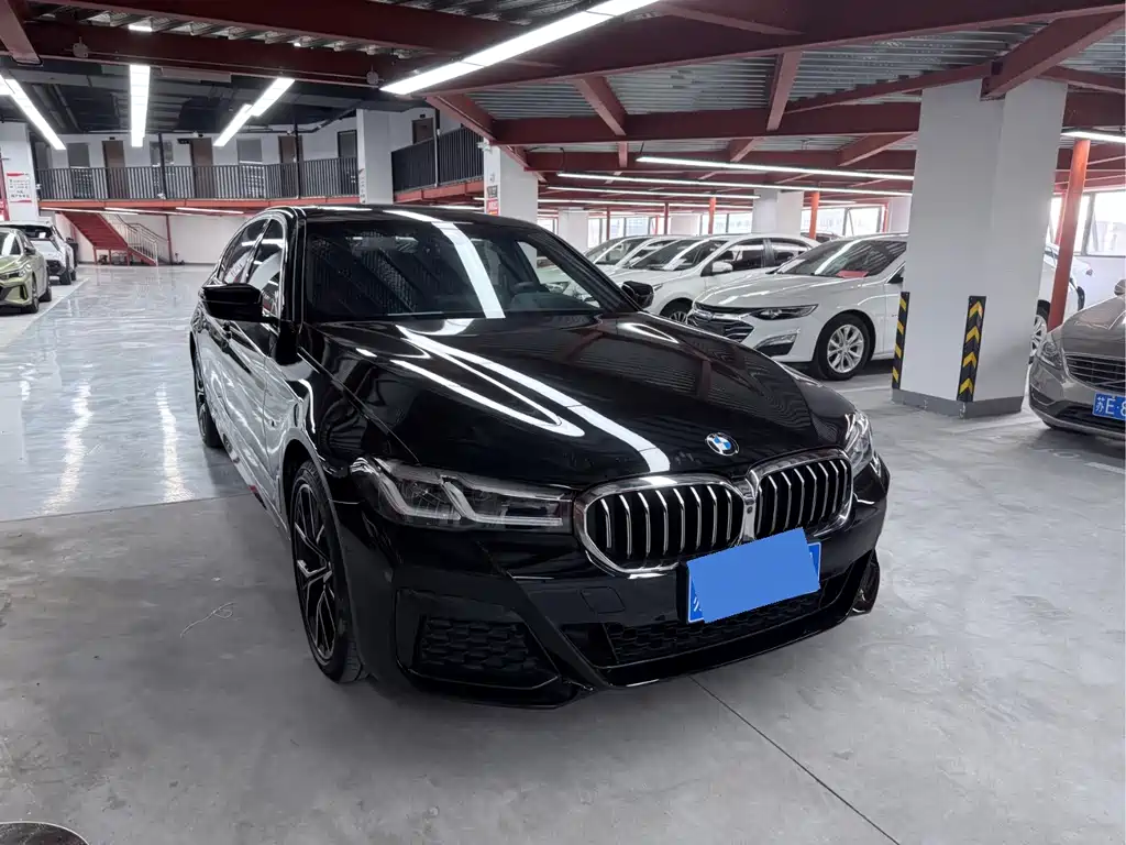 BMW 5 Series — миниатюра 3
