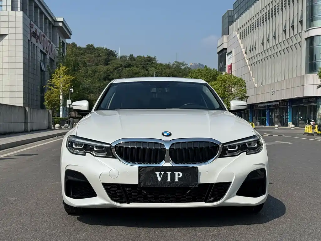 BMW 3 Series — миниатюра 2
