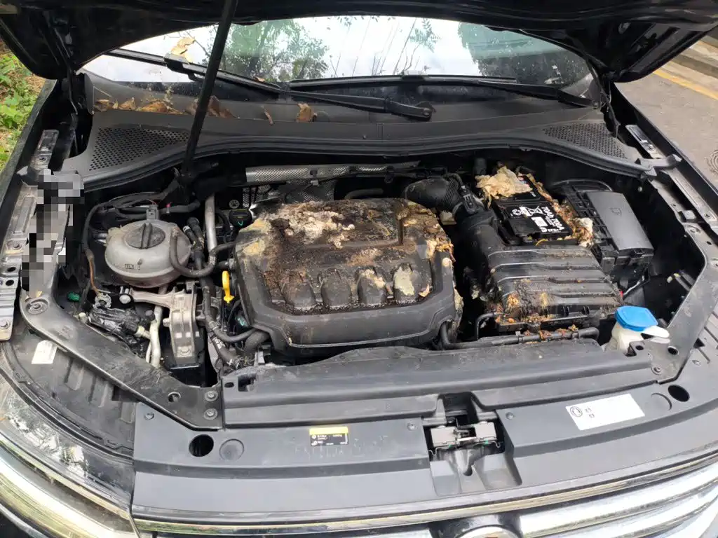 Volkswagen Tiguan L — миниатюра 16