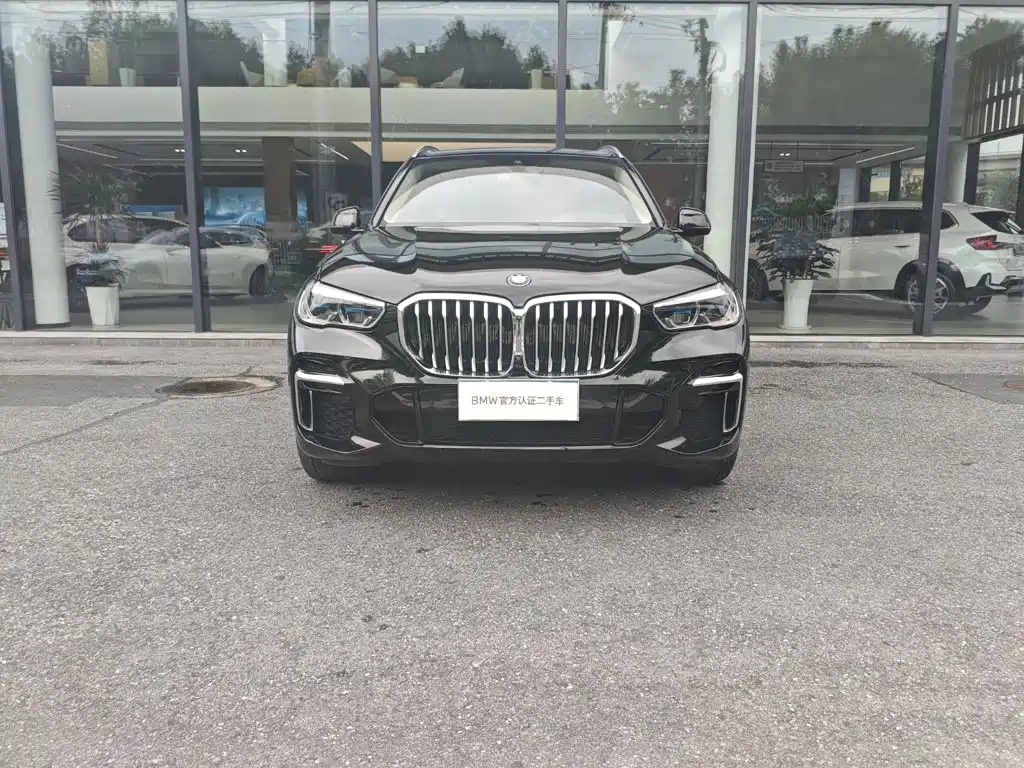 BMW X5 — миниатюра 2