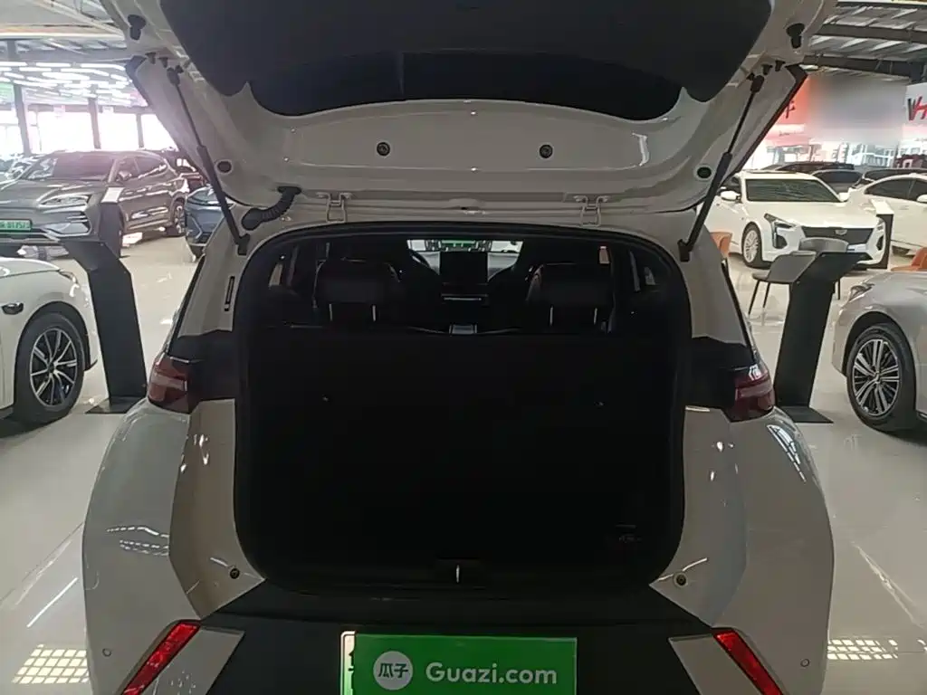 BYD Seagull — миниатюра 19