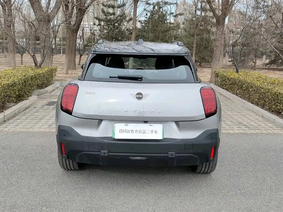 MINI ELECTRIC  ACEMAN