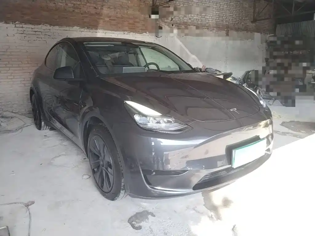 Tesla Model Y — миниатюра 4