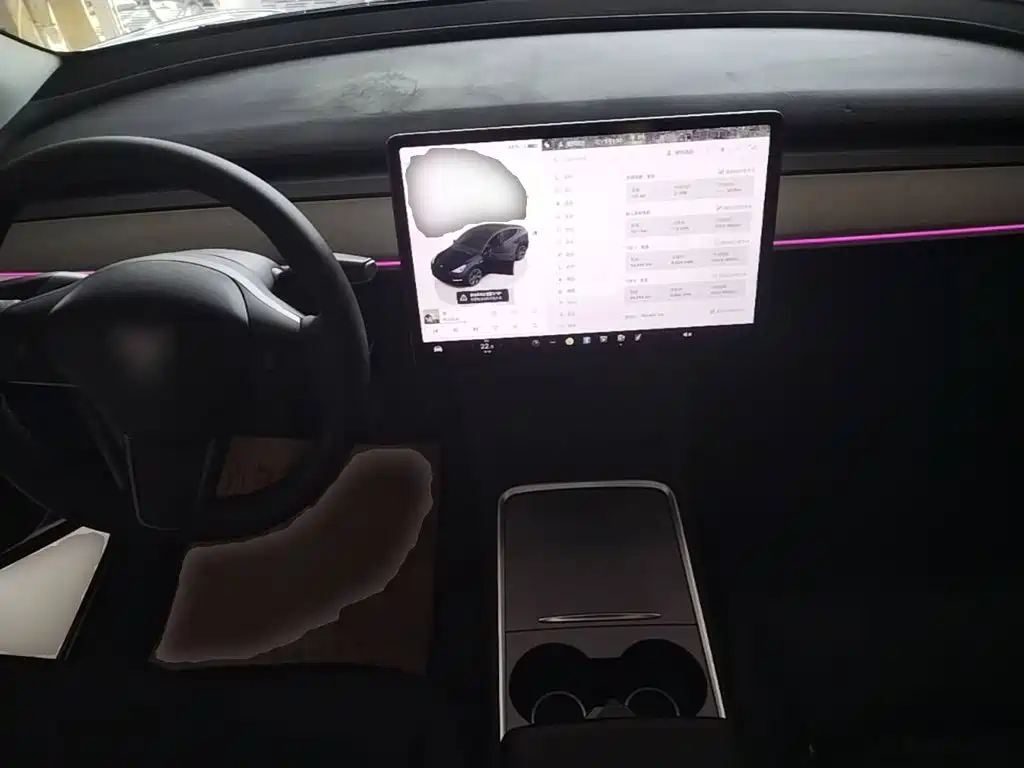 Tesla Model Y — миниатюра 10