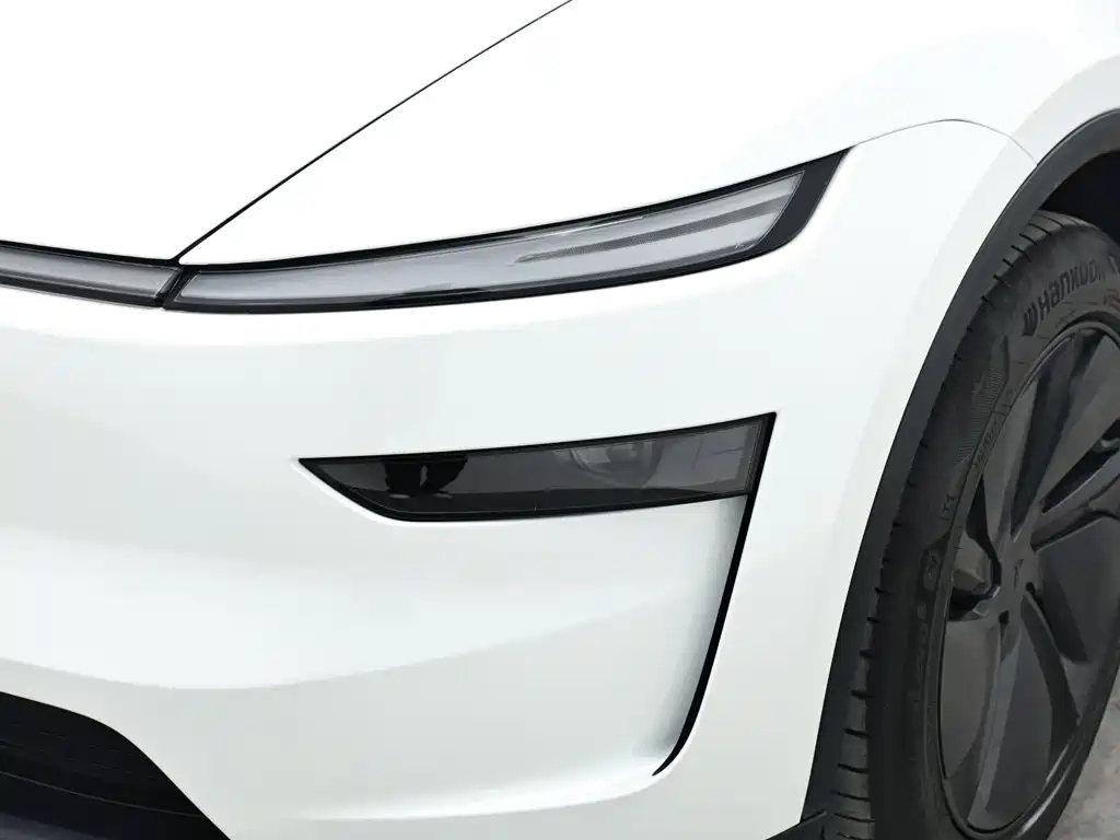Tesla Model Y — миниатюра 16