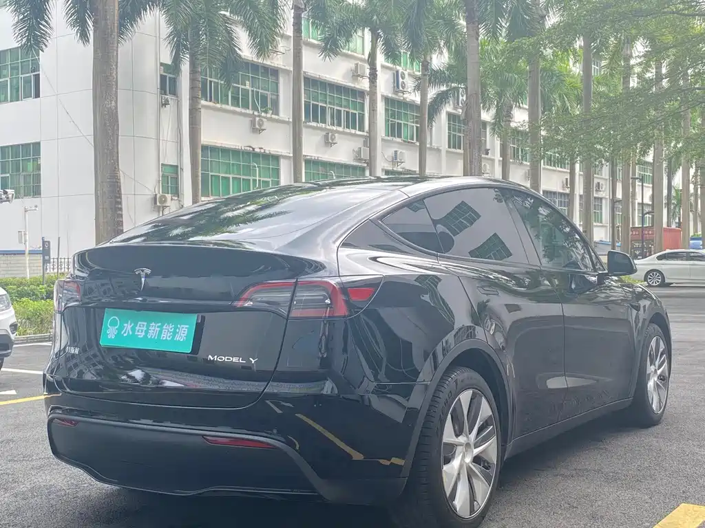 Tesla Model Y — миниатюра 10
