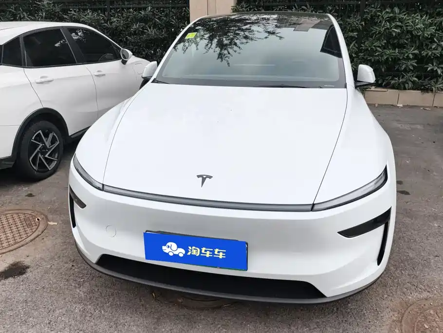 Tesla Model Y — миниатюра 2