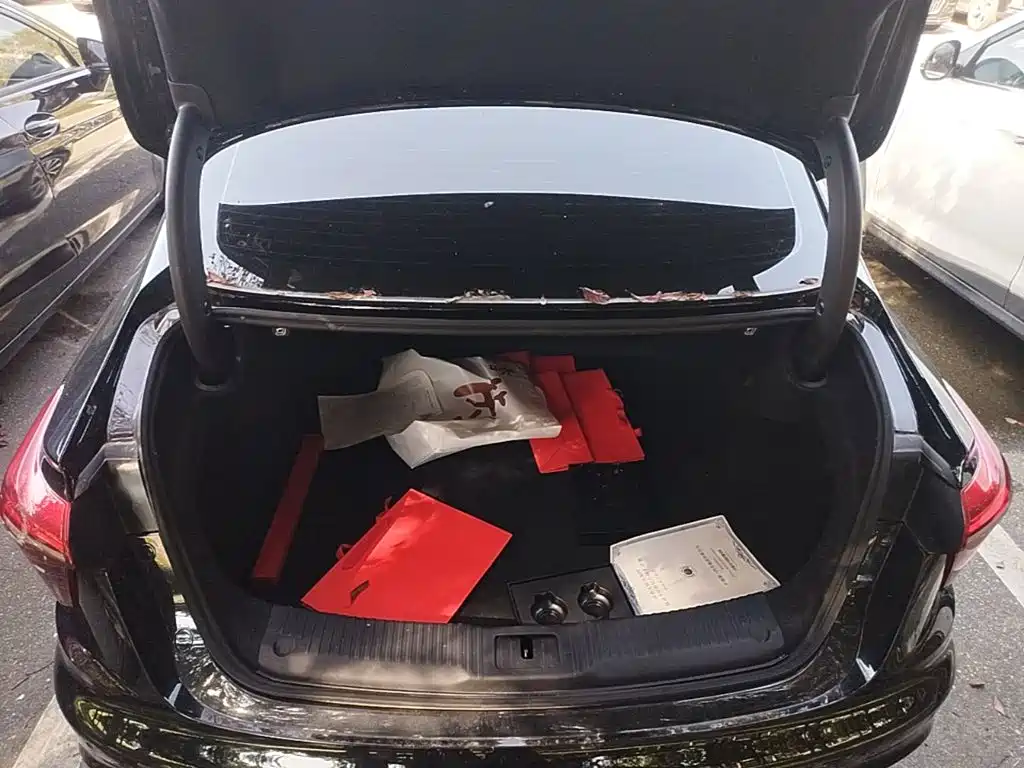 Hongqi Hongqi H5 PHEV — миниатюра 19