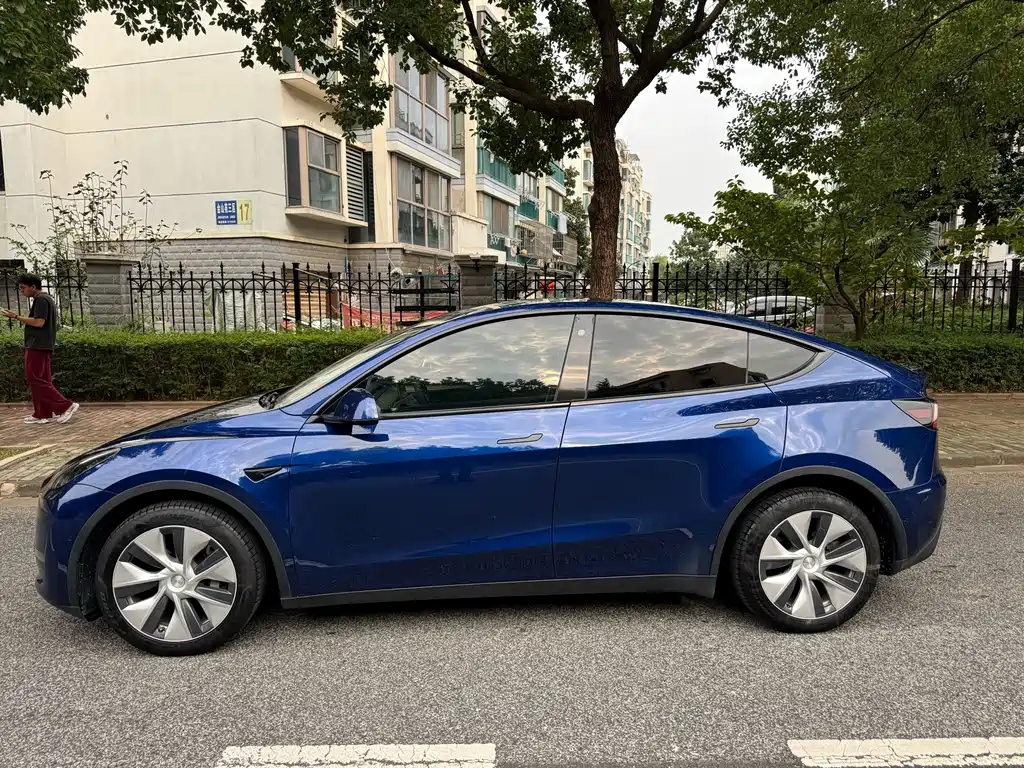 Tesla Model Y — миниатюра 3