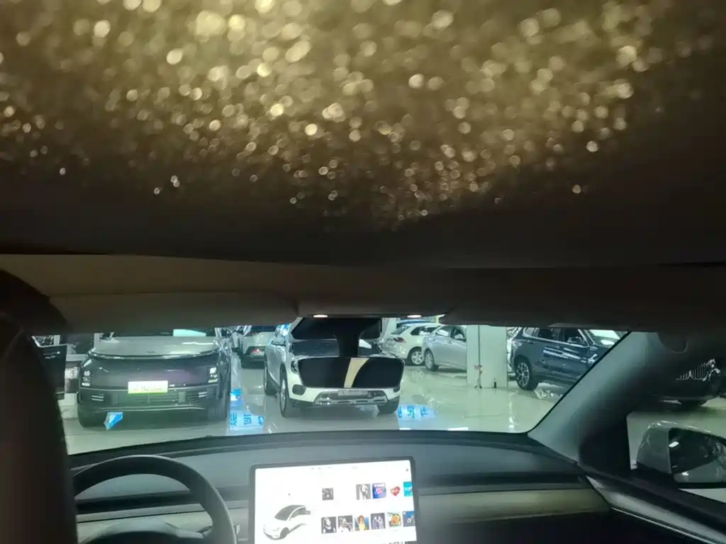 Tesla Model Y — миниатюра 18