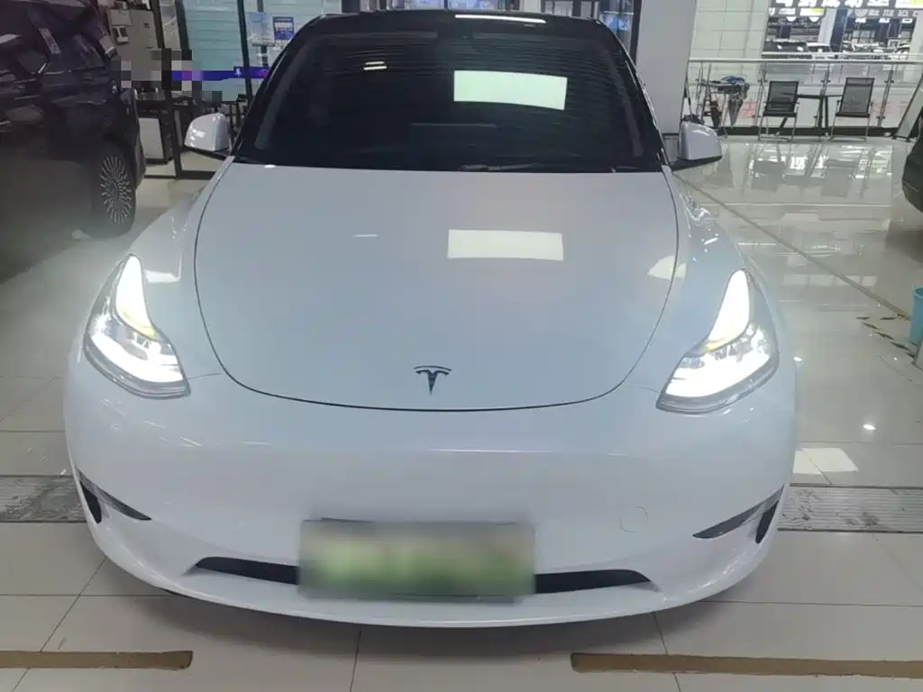 Tesla Model Y — миниатюра 3