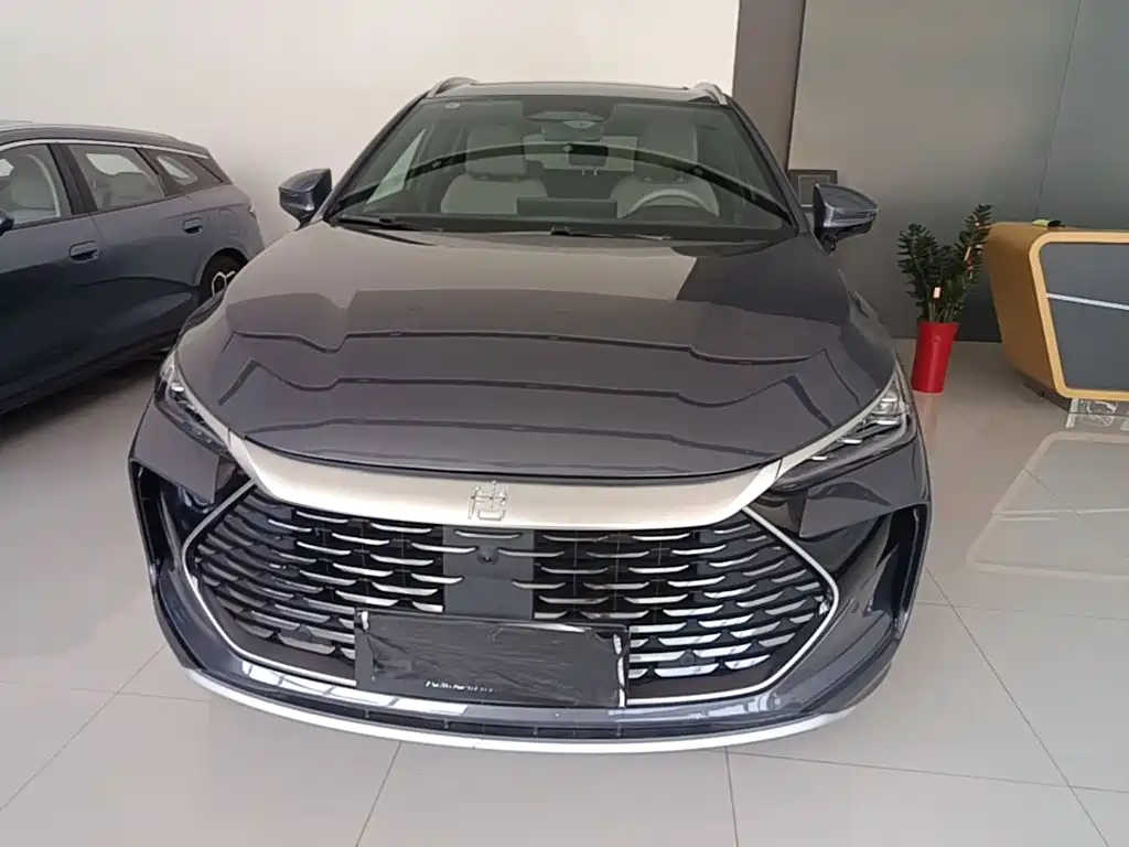 BYD Tang New Energy — миниатюра 3