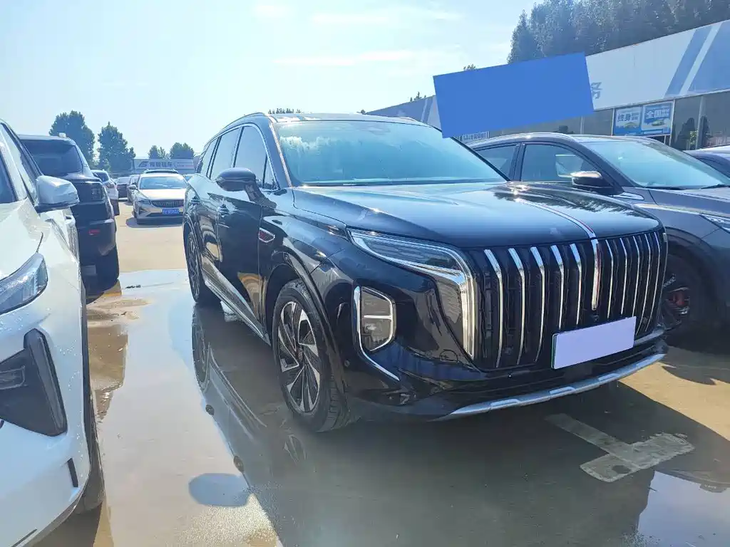 Hongqi Hongqi HS7 — миниатюра 2