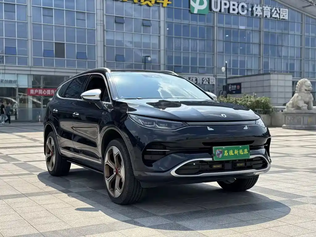 Denza Denza X — миниатюра 3