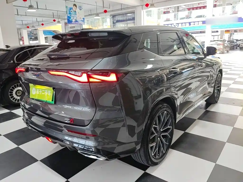 Oshan Oushang Z6 New Energy — миниатюра 7