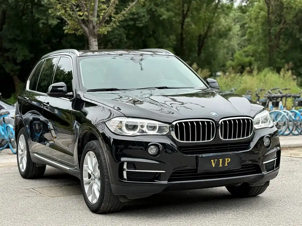 BMW X5 (Import) — миниатюра 3